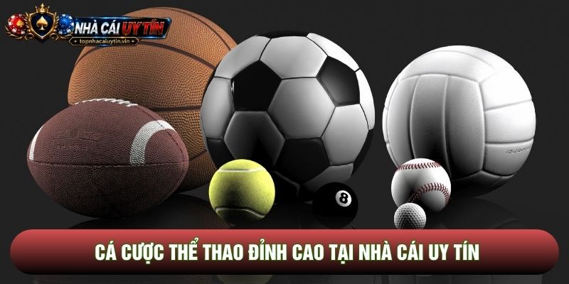 Cá cược thể thao đỉnh cao tại nhà cái uy tín