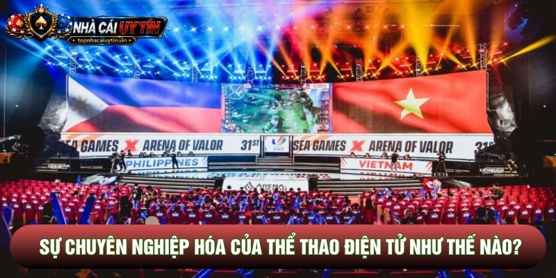 Sự chuyên nghiệp hóa của thể thao điện tử như thế nào?