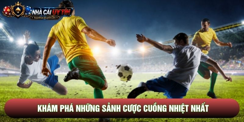 Khám phá những sảnh cược cuồng nhiệt nhất