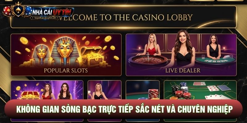 Không gian sòng bạc trực tiếp sắc nét và chuyên nghiệp